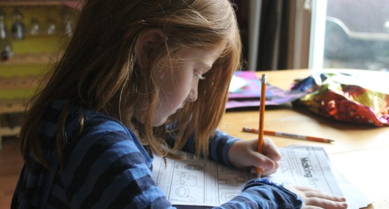 School Choice Makes Public Schoolers More Likely To Succeed