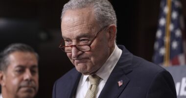 Schumer's Terrible Attempt to Link Mexican Tall Ship Disaster to Trump Gets Squashed by DHS – RedState