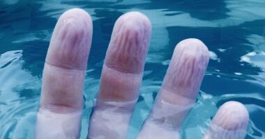 Most people will be familiar with the way our skin - especially on our fingers and toes - goes wrinkly after spending time in water