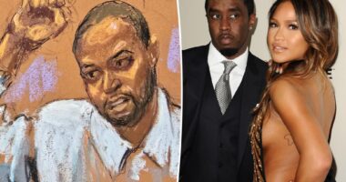 Sean 'Diddy' Combs' vulgar names for Cassie Ventura revealed in testimony at trial
