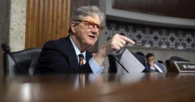 Sen. Kennedy, DOT Sec. Duffy Nuke Democrat/Media Talking Points About 'Fired' ATC – RedState