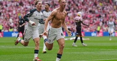 Sunderland have been promoted to the Premier League after winning the play-off final
