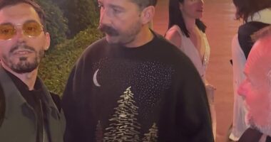 Shia LaBeouf showed remarkable maturity while in France, as he was pestered by aggressive fans seeking multiple selfies and autographs