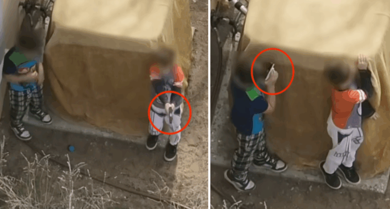 Shocking Video Shows Armed Boys, 7 And 9, In Standoff With New Mexico Deputies