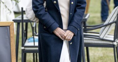 Sophie, Duchess of Edinburgh (pictured), attended the first day of the Royal Windsor Horse Show on Thursday