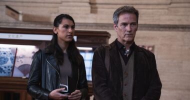Stephen Moyer Investigates Masterpieces and Murders in New 'Art Detectives' Crime Drama Trailer