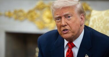 President Donald Trump attends a meeting at the White House