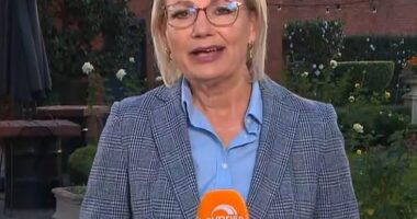 Sunrise host Nat Barr asked Sussan Ley - who revealed she wants to be Liberal Party leader - why it did not get more women voting for them