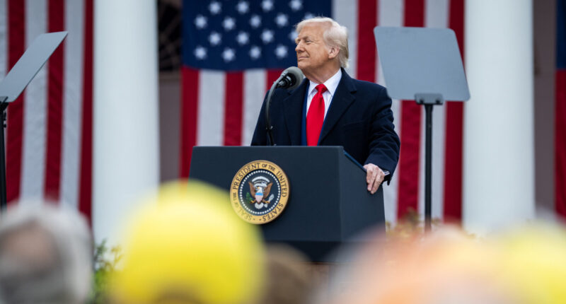 Swing Voters Back Trump Tariffs, Poll Shows.
