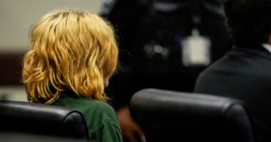 Teen Accused Of Killing 4 In Georgia School Shooting Likely To Plead Guilty