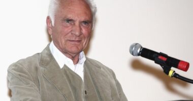 Terence Stamp Net Worth