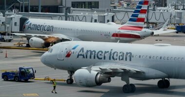 Julius Jordan Priester, 24, of Kansas, was arrested and charged with assault of a crew member on a Chicago-bound American Airlines flight Tuesday night (file photo)