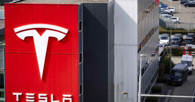 Tesla sales in Europe continue to dive even after Model Y shift