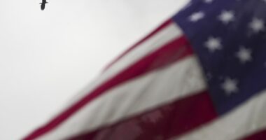 The Amazing Find of the F-1 – RedState