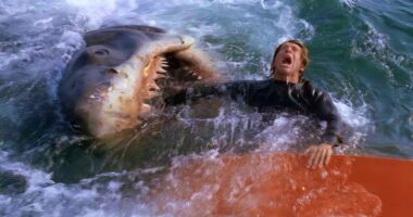 The Bravest Act in Jaws Came From a Character You Probably Forgot