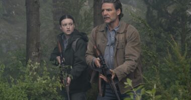 The Last of Us Season 2 Episode 6 Review: An Emotional Break