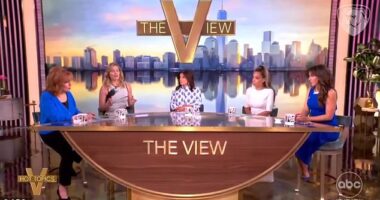 A blistering live segment descended into a full blown argument on Friday as the co-hosts of The View collided over revelations from the explosive new book alleging how there was a stunning cover-up of President Joe Biden 's cognitive decline