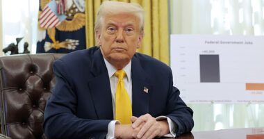 Donald Trump has waffled on Medicaid cuts as Congress wrangles with how much of the subsidized healthcare program they want to slash as they search for savings to make good on the president's promise of sweeping tax cuts