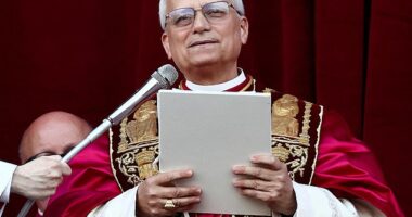 The new Pope, who will be known as Pope Leo XIV, has criticized the Trump administration's moves on immigration repeatedly and expressed support for progressive causes