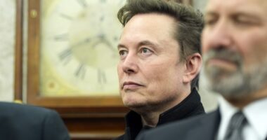 There Are Potholes With Deeper Intellects Than Some of These Lefties Dunking on Elon – HotAir