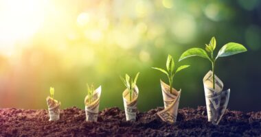 These cannabis-sector stocks aren’t typical yield plays. Why they’re worth the risk.