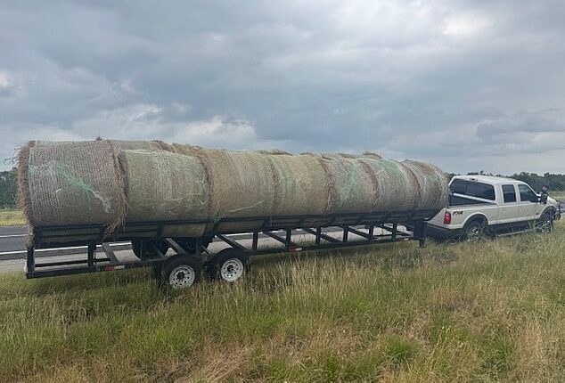 Sheriff's deputies uncovered a human smuggling operation after discovering multiple undocumented immigrants hidden inside meticulously altered hay bales during a routine traffic stop in Texas