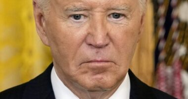 This Is How Staffers Planned to Run the Country If an Incoherent Biden Had Been Reelected – RedState