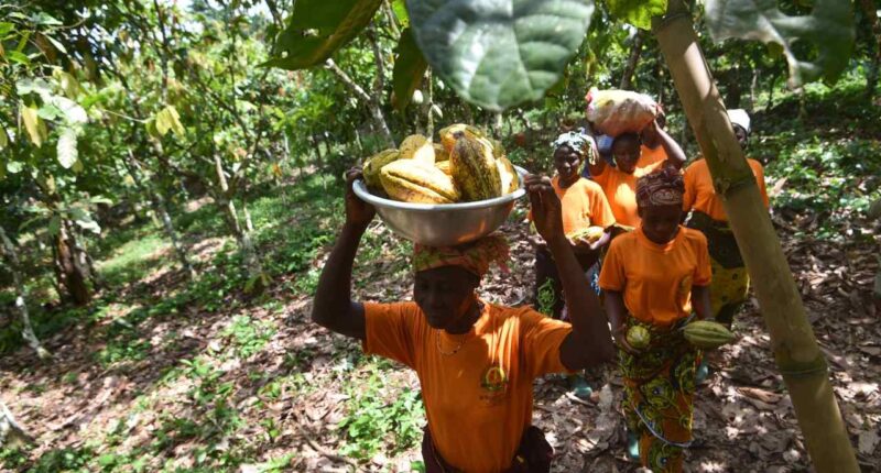 This special trade deal can help American farmers — without government subsidies