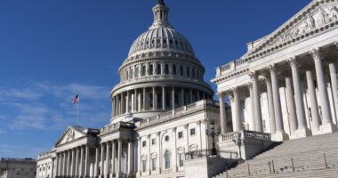 Thom Tillis a 'No' on Trump Nominee for D.C. US Attorney Ed Martin – HotAir