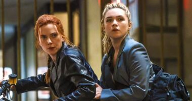 Thunderbolts* Repeats Black Widow's Avengers Story With Yelena In The Most Devastating Yet Heartwarming Way