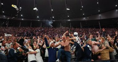 Tottenham fans joyously celebrated Spurs' Europa League triumph on Wednesday night