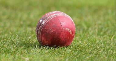 Transgender women have been blocked from taking part in all levels of women's cricket, the England and Wales Cricket Board has declared