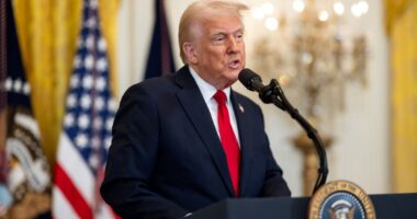 Trump Can Fire Federal Executives Without Cause