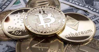 Trump administration rescinds Biden-era caution about crypto in 401(k) plans: What that means for you