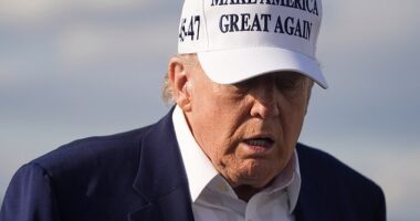 President Donald Trump tore into Russian President Vladimir Putin when asked Sunday evening by a reporter for an update on the Ukraine war