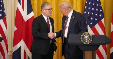 The premiers raised the prospect of a Transatlantic trade deal when they met at the White House in February