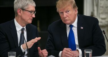 Tim Cook, the CEO of Apple, has long been considered tech's 'Trump whisperer', but the president's full throated criticism of him during his recent trip to the Middle East, followed by a threat to impose tariffs on all iPhones built outside the US has raised questions about whether the bromance is dead