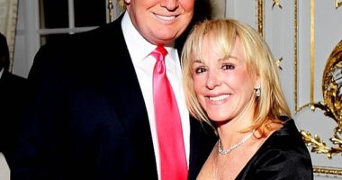In an application to be shown mercy, Walczak claimed that prosecutors targeted him due his his mother, Elizabeth Fago's political activity (she was pictured here with Trump)