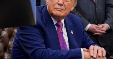 President Donald Trump is expected to accept a $400 million 'flying palace' from the Qatari royal family to serve as his presidential plane for the rest of his term