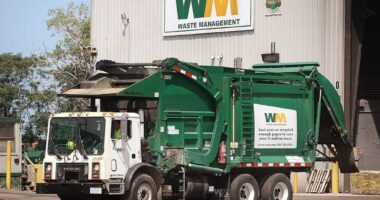 Celebrity Net Worth logo