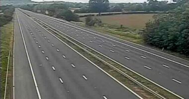 Two adults and one child are killed in BMW crash on M5 as another child fights for life in hospital