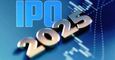 Two software companies are going public. The IPO market is getting up off the mat.