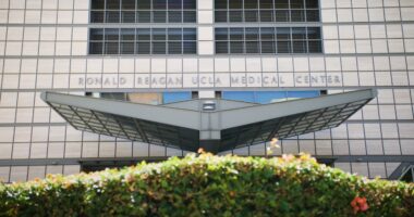 UCLA Medical School Sued Over Alleged Race-Based Admissions