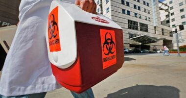 UCLA Medical School Sued for Racial Discrimination in Admissions – HotAir