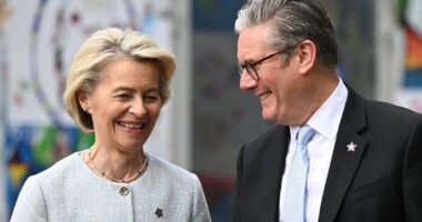 UK and EU officials locked in last-minute negotiations over post-Brexit reset deal