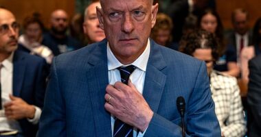 The UnitedHealth Group CEO Andrew Witty has dramatically announced his resignation