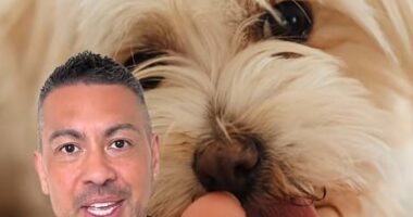 Dr Paul Manktelow (pictured) says when your dog licks your feet it could mean one of four things