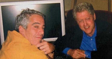 Voters Demand Transparency on Election Fraud, Epstein Records.