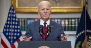 WSJ Pretends Trump, Not Biden, Wrecked Pardon Process