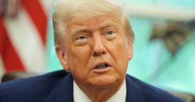 Warning Donald Trump’s anti-censorship drive is fuelling misinformation crisis in UK